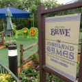 WDW201206-146
