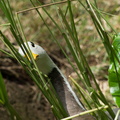 WDW201206-216