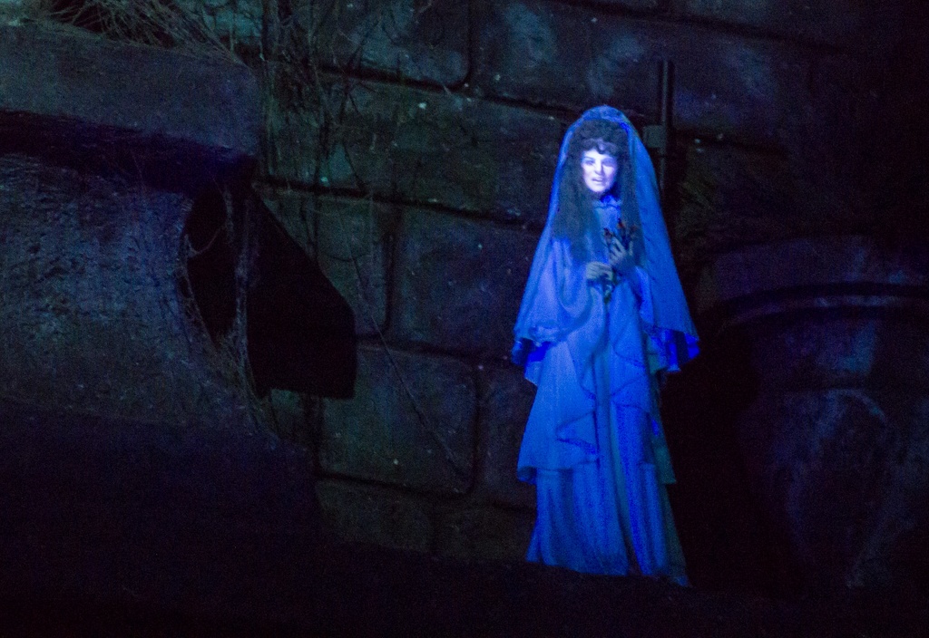WDW201206-096.jpg