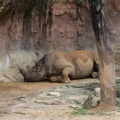 WDW201206-128