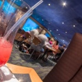 WDW201206-139