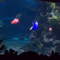 WDW201206-142