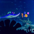 WDW201206-143