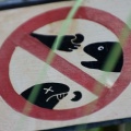 WDW201206-135