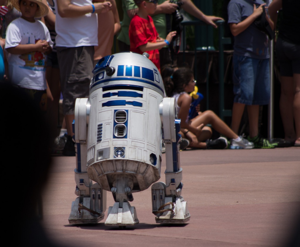 WDW201206-051.jpg