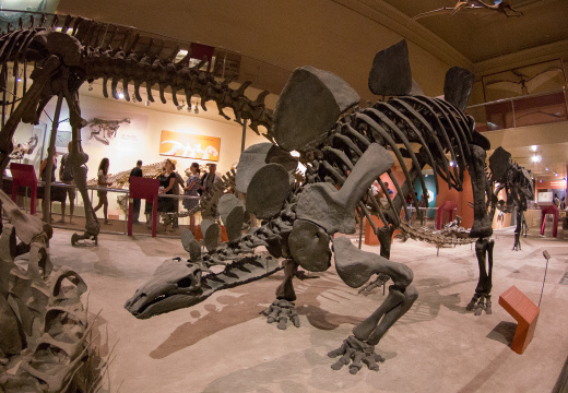 WashingtonDC201207-002