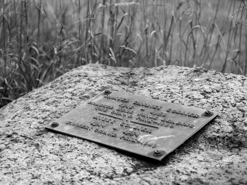 WatkinsGlen-120721-14