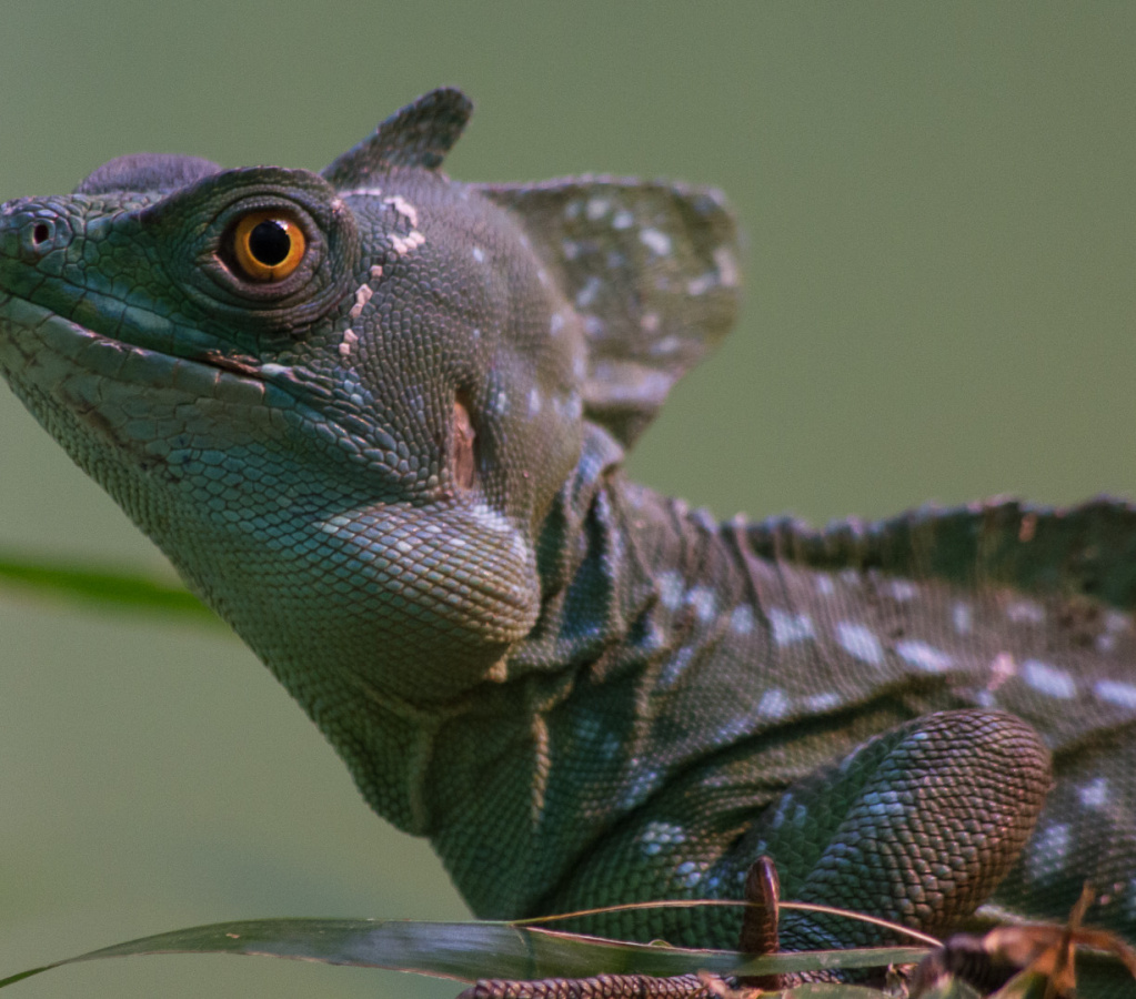 WashingtonDC201207-036