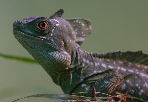 WashingtonDC201207-036
