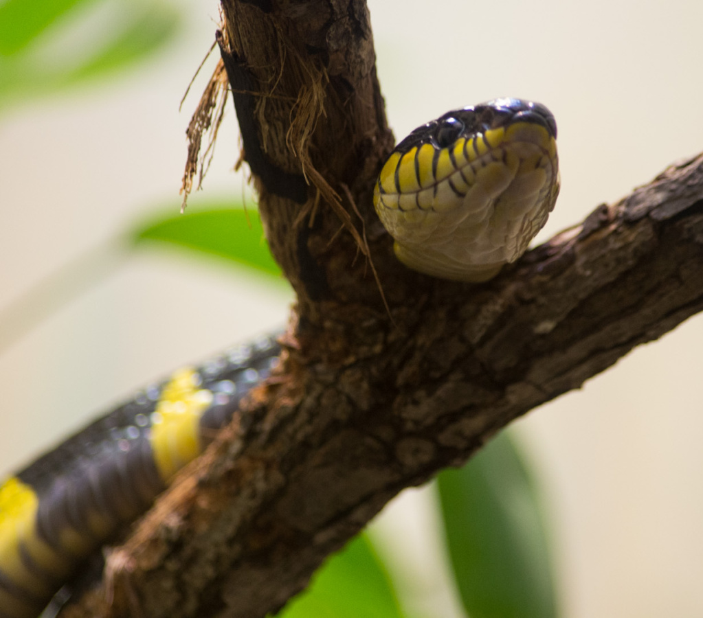 WashingtonDC201207-035