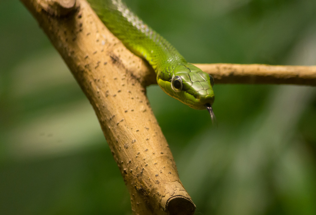 WashingtonDC201207-037.jpg