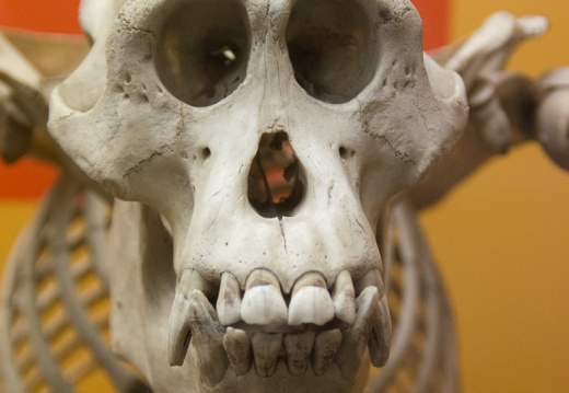 WashingtonDC201207-014