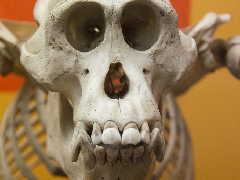 WashingtonDC201207-014