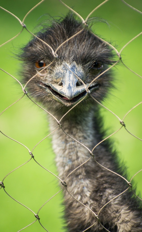 WashingtonDC201207-049.jpg