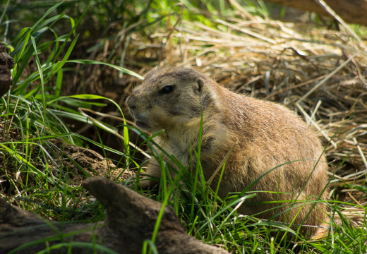 WashingtonDC201207-034