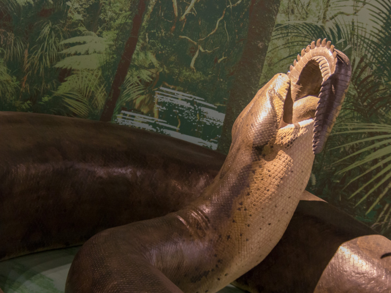 WashingtonDC201207-013