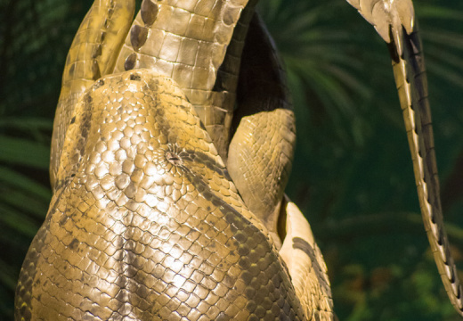 WashingtonDC201207-011