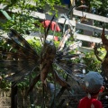 SterlingRen2012-07