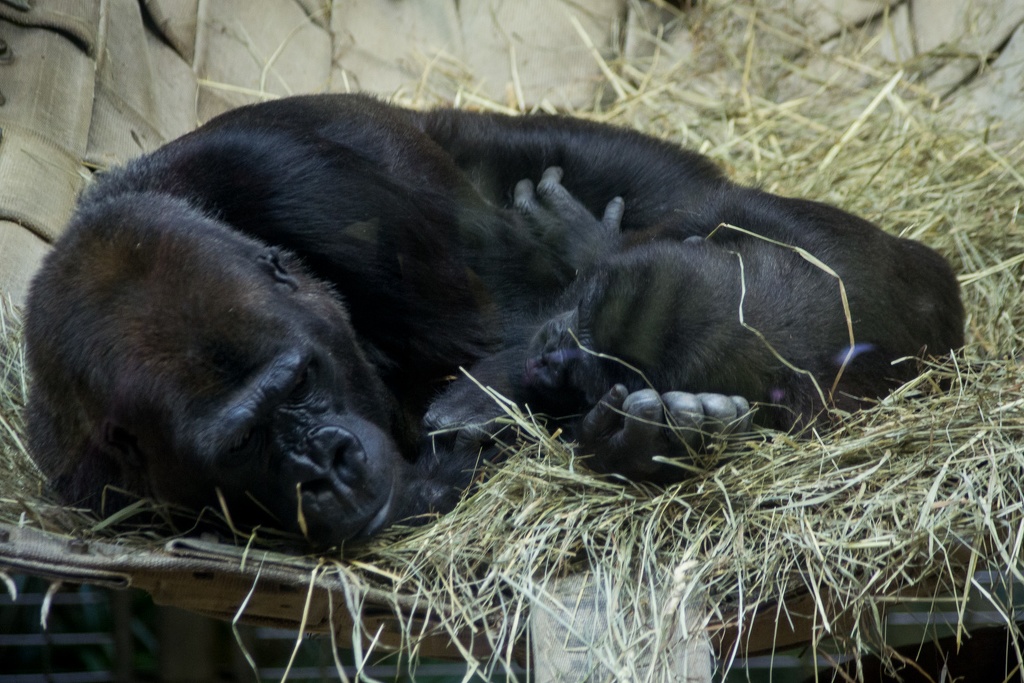 WashingtonDC201207-043.jpg