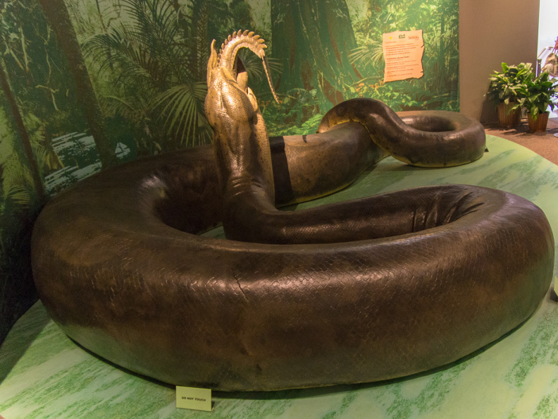 WashingtonDC201207-012