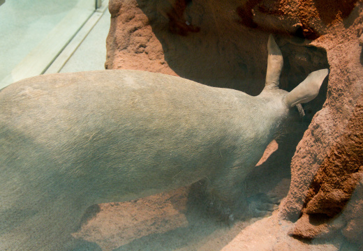 WashingtonDC201207-017