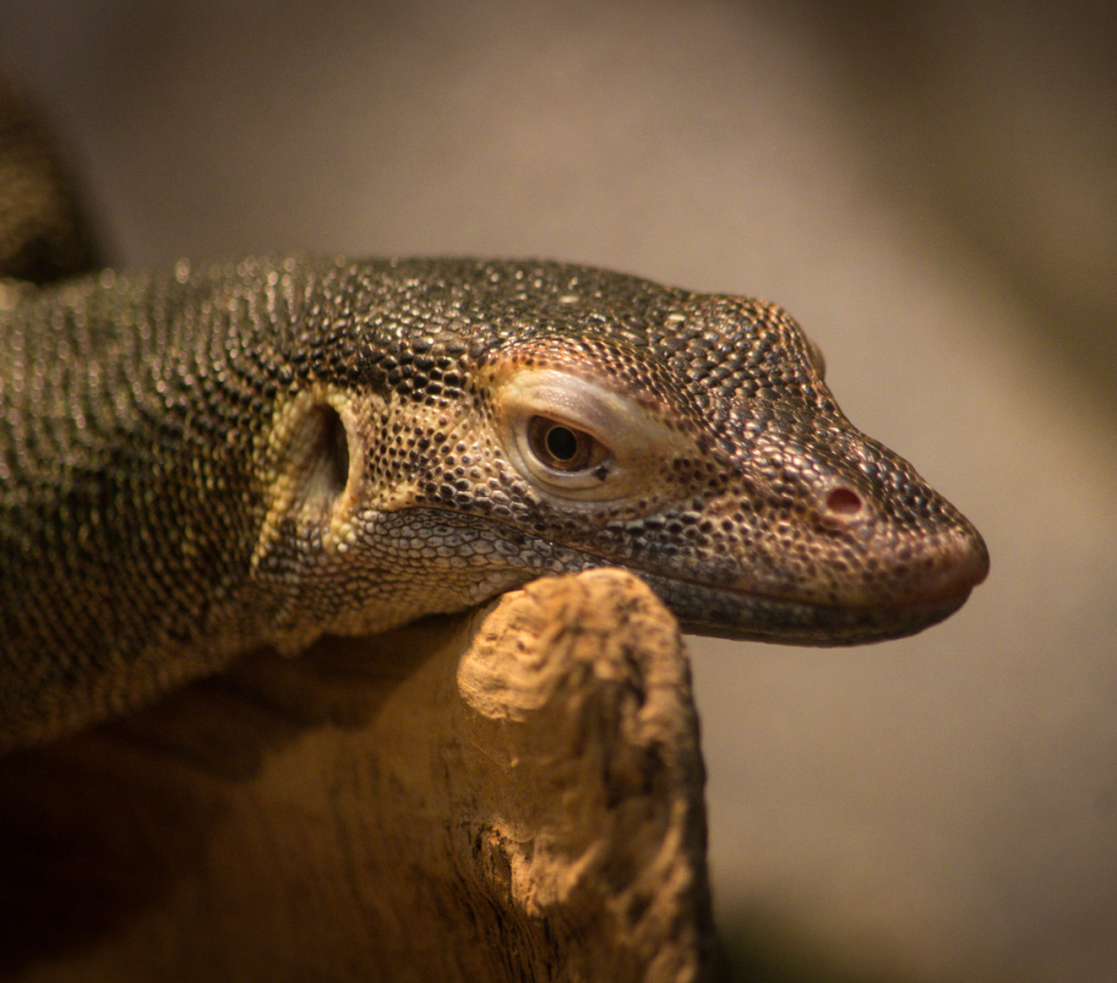 WashingtonDC201207-039