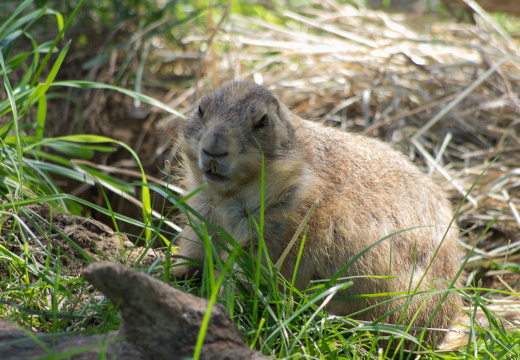 WashingtonDC201207-033