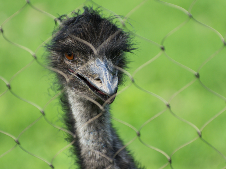 WashingtonDC201207-048