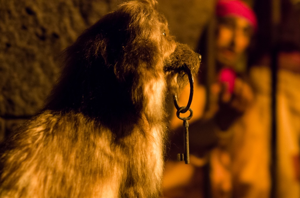 Florida201210-246.jpg