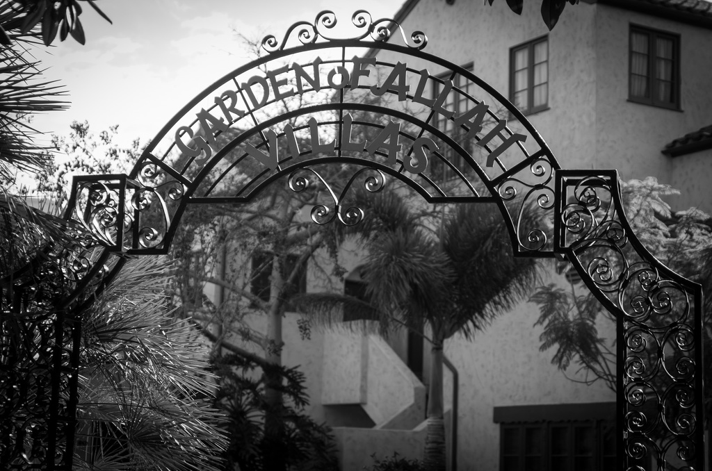 Florida201210-104.jpg