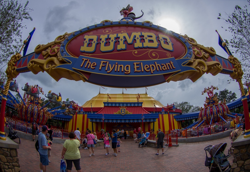 Florida201210-233.jpg