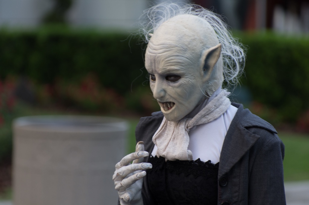 Florida201210-163.jpg