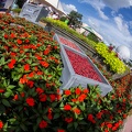 Florida201210-280