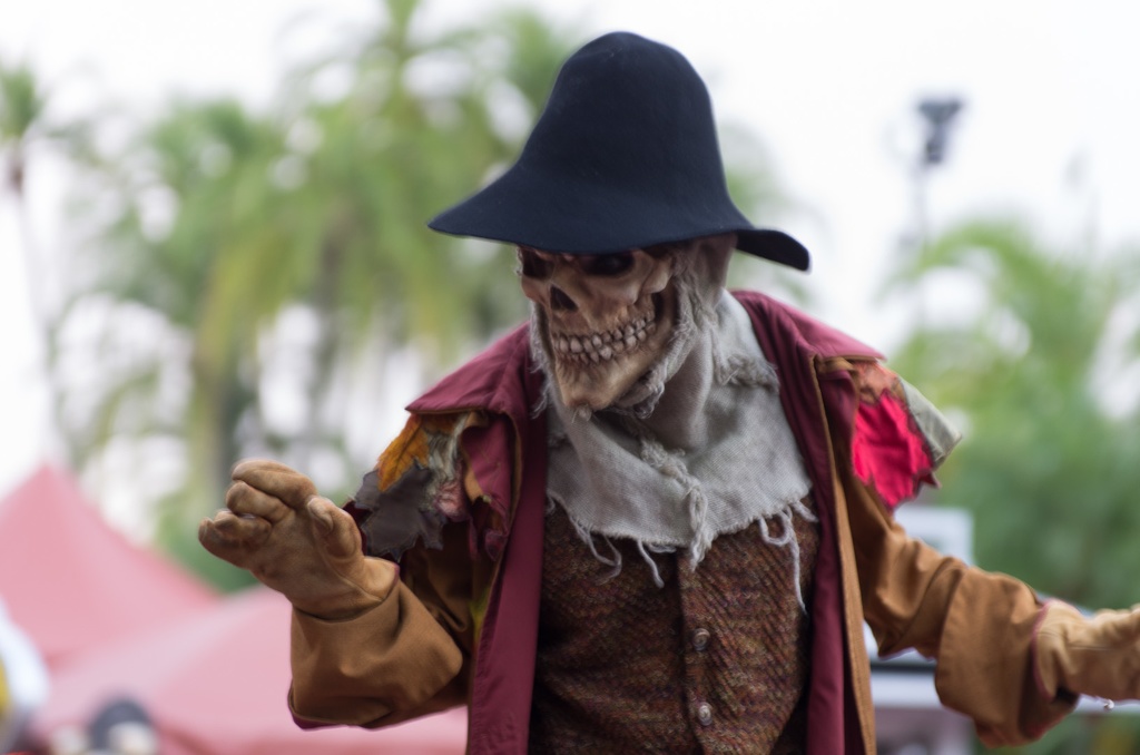 Florida201210-166.jpg