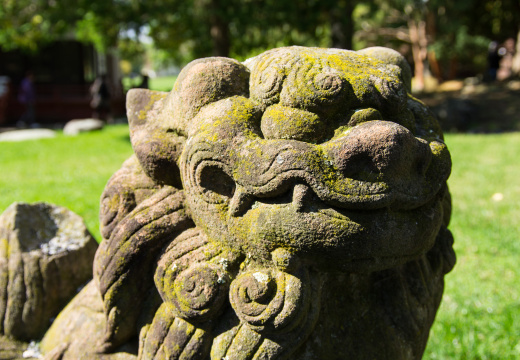 SonnenbergGardens2012-13