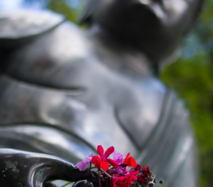 SonnenbergGardens2012-16