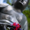 SonnenbergGardens2012-16