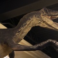 Florida201210-071