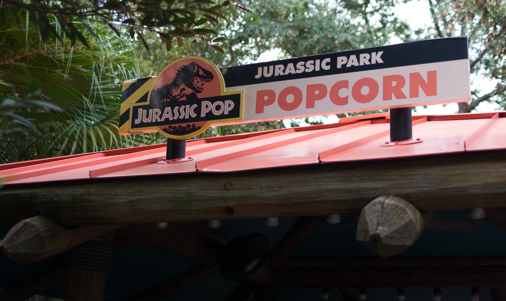 Florida201210-158.jpg