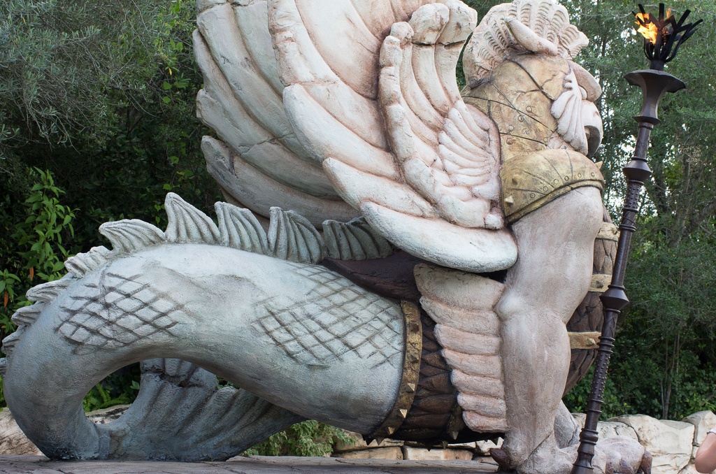 Florida201210-152.jpg
