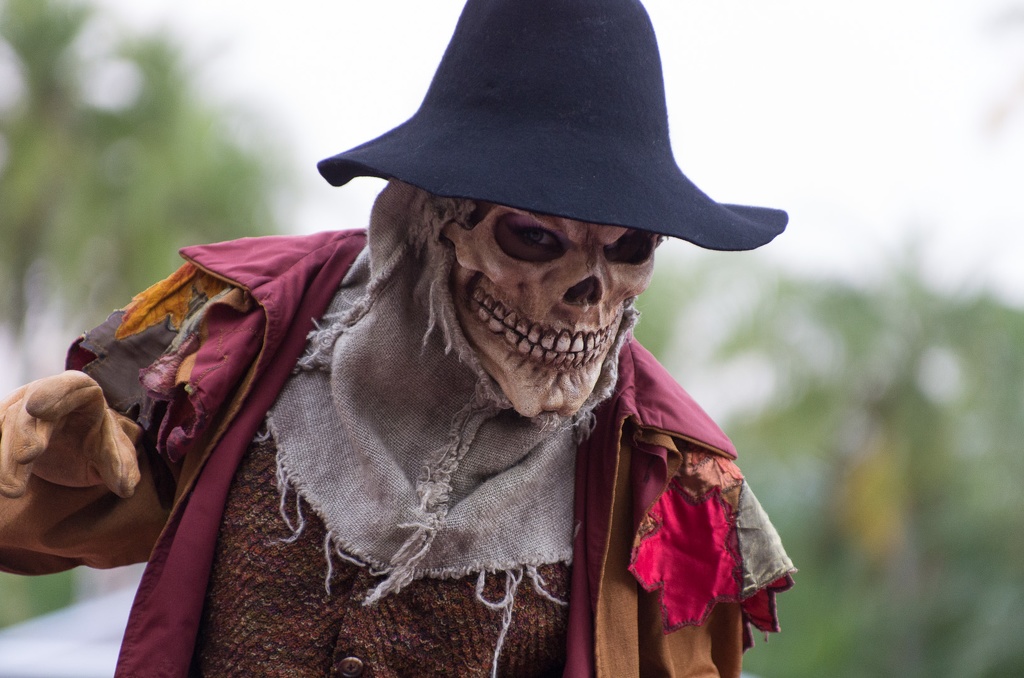 Florida201210-167.jpg