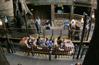 WDW2007-073