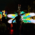 WDW2007-095