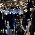 WDW2007-101