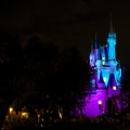 WDW2007-103