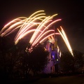 WDW2007-109