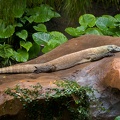 WDW2007-124