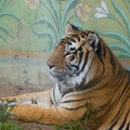 WDW2007-126