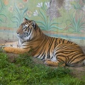 WDW2007-127