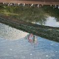WDW2007-141